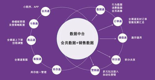 紫日軟件導購通3.0 直連消費者，驅動銷量暴漲的智能銷售解決方案